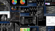 Breast Imaging CME: Current Topics, Series III