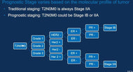 What's new in Breast Cancer Staging: The AJCC 8th Edition - Efficiency Learning Systems